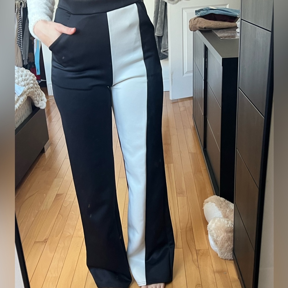 PLT dress pants